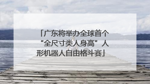广东将举办全球首个“全尺寸类人身高”人形机器人自由格斗赛